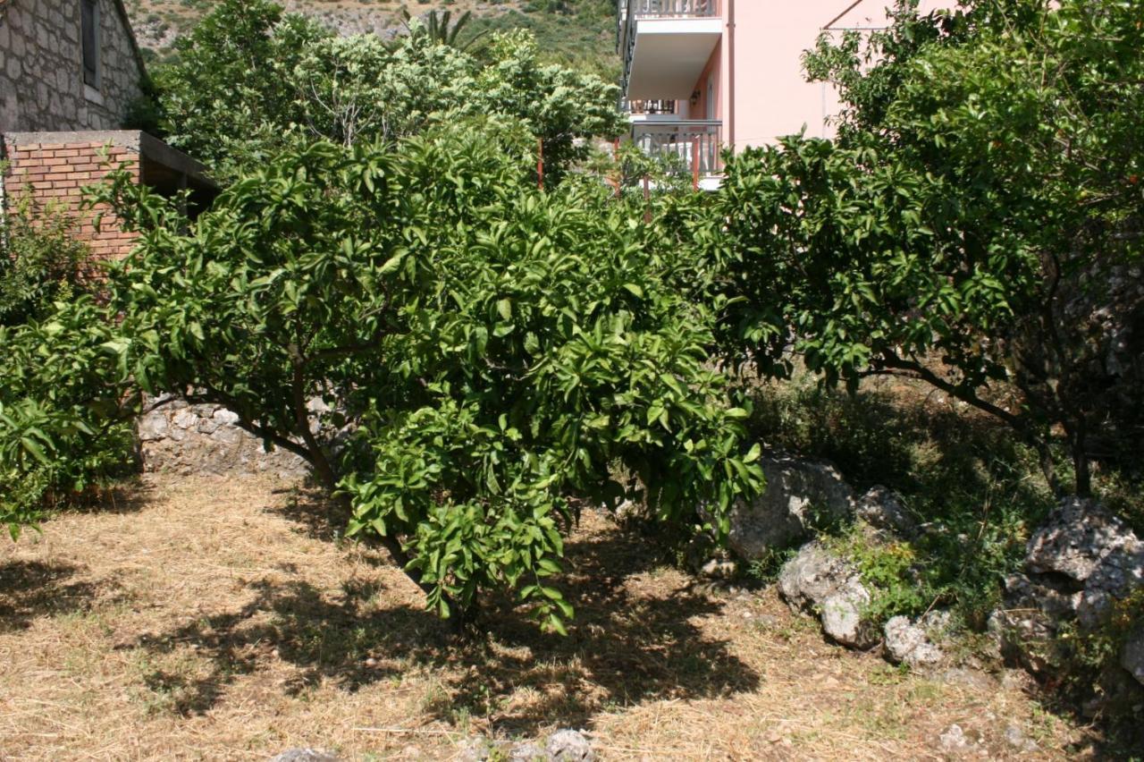 Apartments By The Sea Podaca, Makarska - 6874 Exteriér fotografie